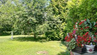 Holiday home in Siofok/Balaton 19830 - Siófok - 6