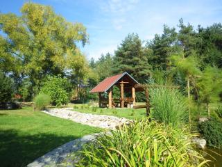 Apartment in Frantiskovy Lazne 1609 - 7