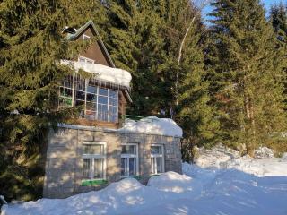 Holiday home in Harrachov 2311 - Harrachov - 4