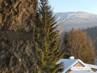 Holiday home in Harrachov 2311 - Harrachov - 3