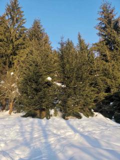 Holiday home in Harrachov 2311 - 2