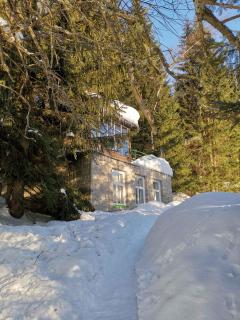 Holiday home in Harrachov 2311 - Harrachov - 1