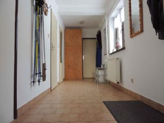 Holiday home Sedlonov - Adlergebirge 949 - Sedloňov - 7