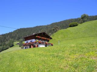 Apartments in Bruck am Ziller/Zillertal 857 - Großhartberg - 5