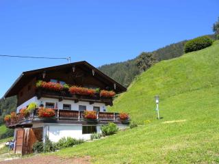 Apartments in Bruck am Ziller/Zillertal 857 - Großhartberg - 3