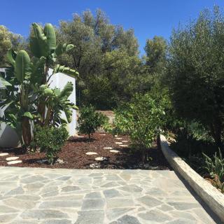 Le Loft - Ajaccio - 5
