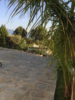 Le Loft - Ajaccio - 1