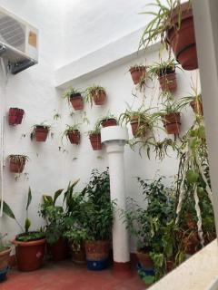 HOSTAL COSTA SOL - Castell de Ferro - 3