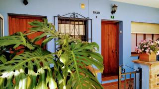 Apartamento Fuengirola Centro - Fuengirola - 9