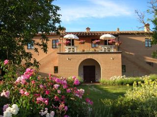 Agriturismo Il Poderino - Asciano - 8