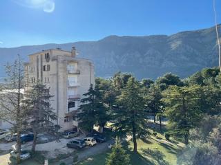 Downtown Apartment - Kotor (Cattaro) - 2
