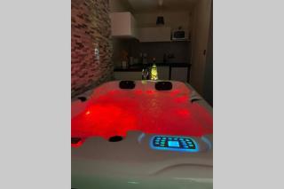 Joli T2, jacuzzi, lit rond, jardin, parking privé, métro - Toulouse - 7