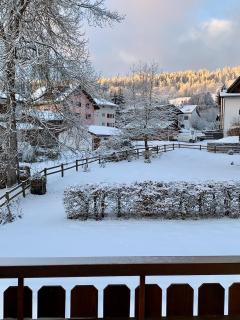Arcula - Flims - 6
