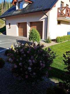 Apartament Nad Jeziorem Kaszuby - Gołubie - 9