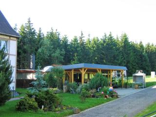 Pension Harzbaude Susanne - Garni - 1