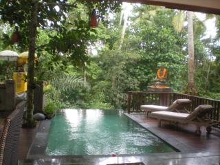Harum Sari Ubud Private Villa - Ubud - 3