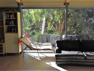 Banksias at Waratah Bay - 7