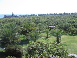Torre Archirafi Resort - 3
