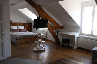 Le Studio de Sophie - Vendôme - 4