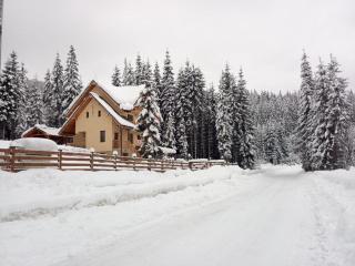 Vidra Parc - Voineasa - 9