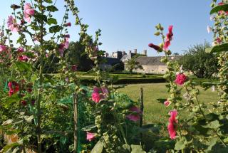 Chateau La Touanne Loire valley - Baccon - 4