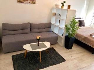 Modern Studio (Institut Majka i Dete) - Belgrado - 9