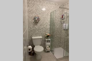 Two Bedroom Town House Beside The River Barrow - 1