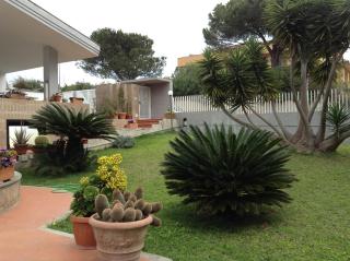 Acquamarina - Civitavecchia - 4