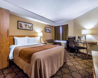 Comfort Inn East - 8