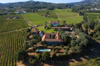 Terra Rosa Country House & Vineyards - Ponte de Lima - 8