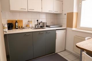 FullHouse - Halle - T28 - Deer Apartment - Halle an der Saale - 9
