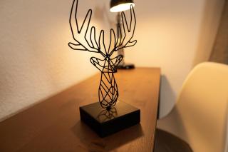 FullHouse - Halle - T28 - Deer Apartment - Halle an der Saale - 6