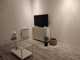 Logement ENTIER, NETFLIX Jacuzzi en option - 2