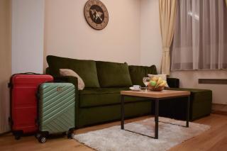 Apartman Spas Titova Vila Zlatibor - 7