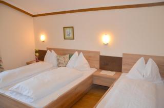 Landgasthof Reitsamerhof - Werfen - 3