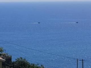 Villa Formosa - Funchal - 7