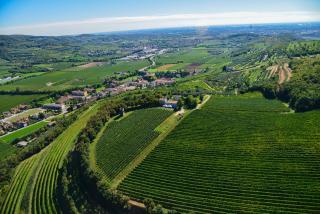 Tenuta Delo Relais - Verona - 0
