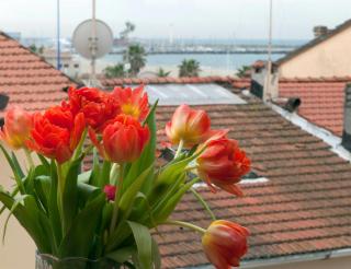 Hotel Dolly - Viareggio - 7