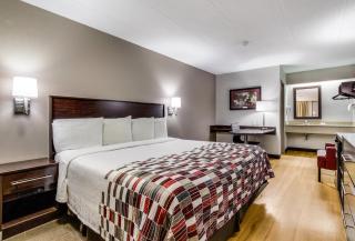 Red Roof Inn Lexington - Lexington - 9
