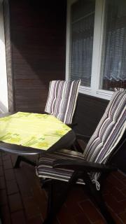 Haus Enere Au FeWo Antonia und FeWo Milan - Todtmoos - 6
