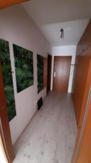 Haus Enere Au FeWo Antonia und FeWo Milan - Todtmoos - 4