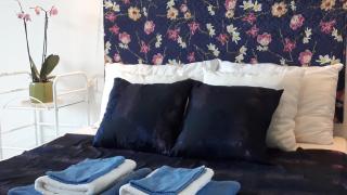 Zen Garden Pool,3bedrooms, Beach800m,box&wifi - Antibes - 6