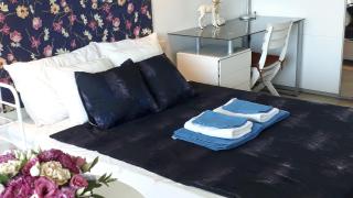 Zen Garden Pool,3bedrooms, Beach800m,box&wifi - Antibes - 8