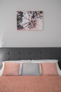 Flow Apartments Toruń - Toruń - 9