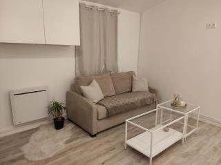 Logement ENTIER, NETFLIX Jacuzzi en option - 4