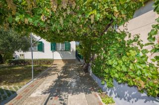 Apartman Goga - Vrsi - 8