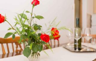 Apartment in Silo/Insel Krk 13510 - Šilo - 2