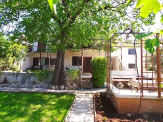 Apartment in Pjescana Uvala - Istrien 17334 - 3