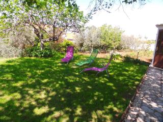 Apartment in Pjescana Uvala - Istrien 17334 - 0