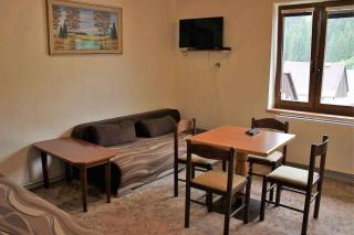Holiday home in Pernink - Erzgebirge 34318 - Pernink - 7